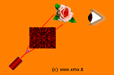 visualizzazione di un ologramma - © XmX